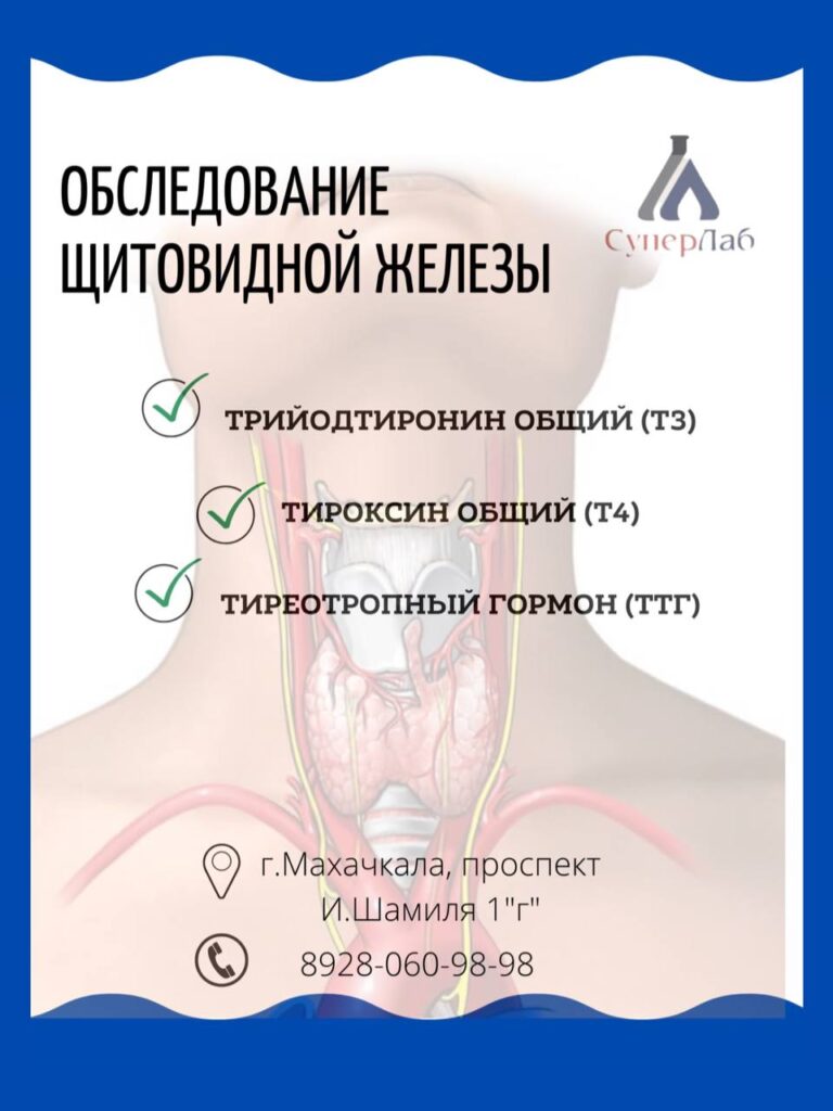 Проверь свою щитовидную железу